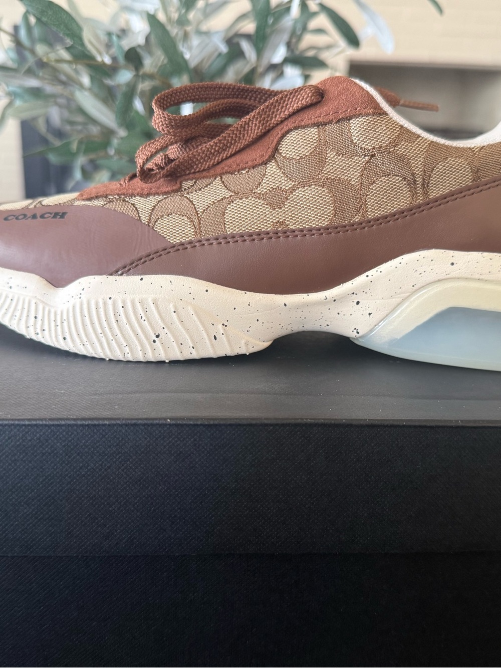 Coach Sneakers